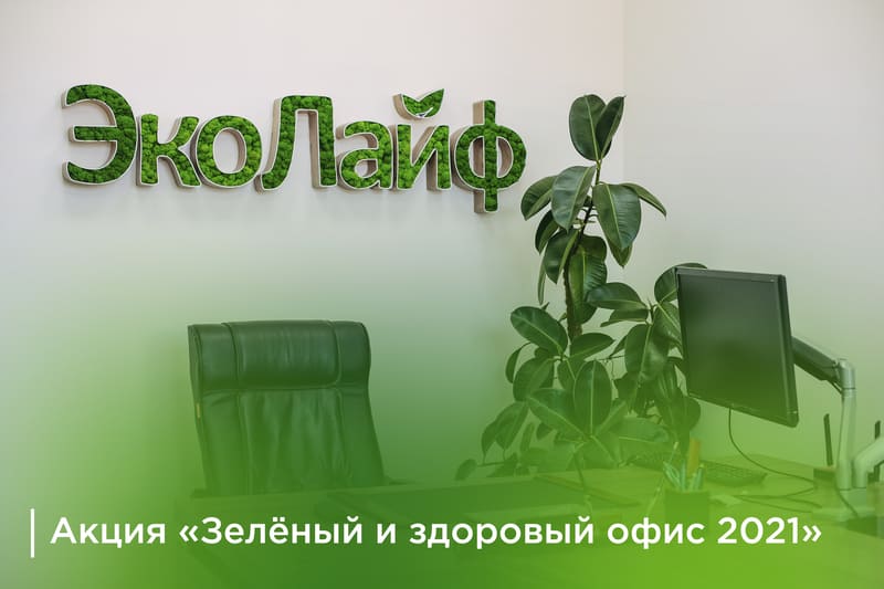 Зелёный и здоровый офис 2021