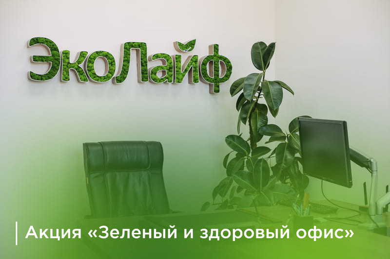 «Зеленый и здоровый офис»